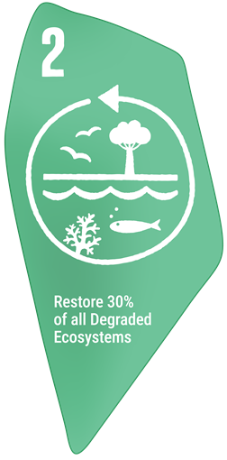 Target 02 - Restoration