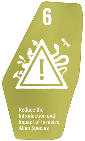 Target 06 - Control invasive species