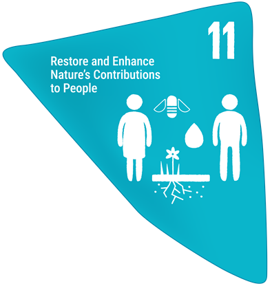 Target 11 - Nature's contribution to regulation