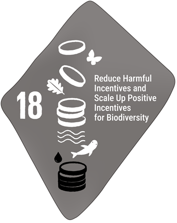 Target 18 - Eliminate harmful subsidies
