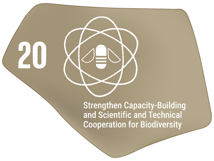 Target 20 - Capacity building/technology transfer