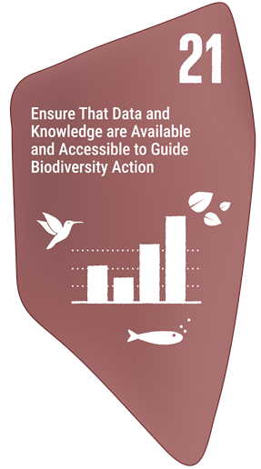 Target 21 - Data accessibility and monitoring