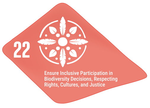 Target 22 - Indigenous participation in decision-making